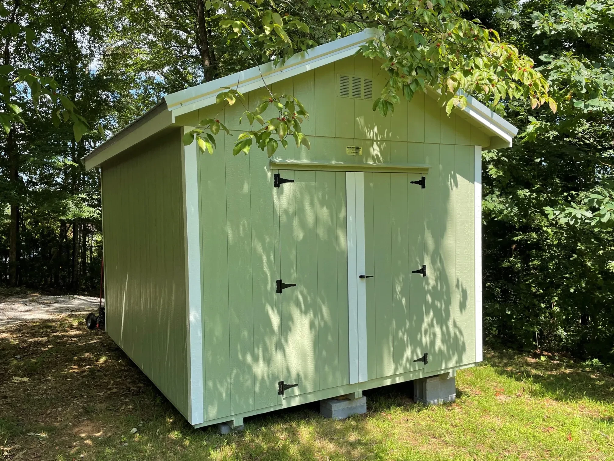 A light green wood shed in a shaded backyard