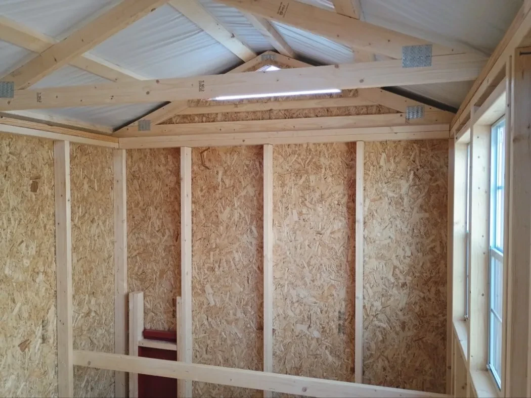 Inside of 8x12 chicken coop, showing roosts and chicken door.