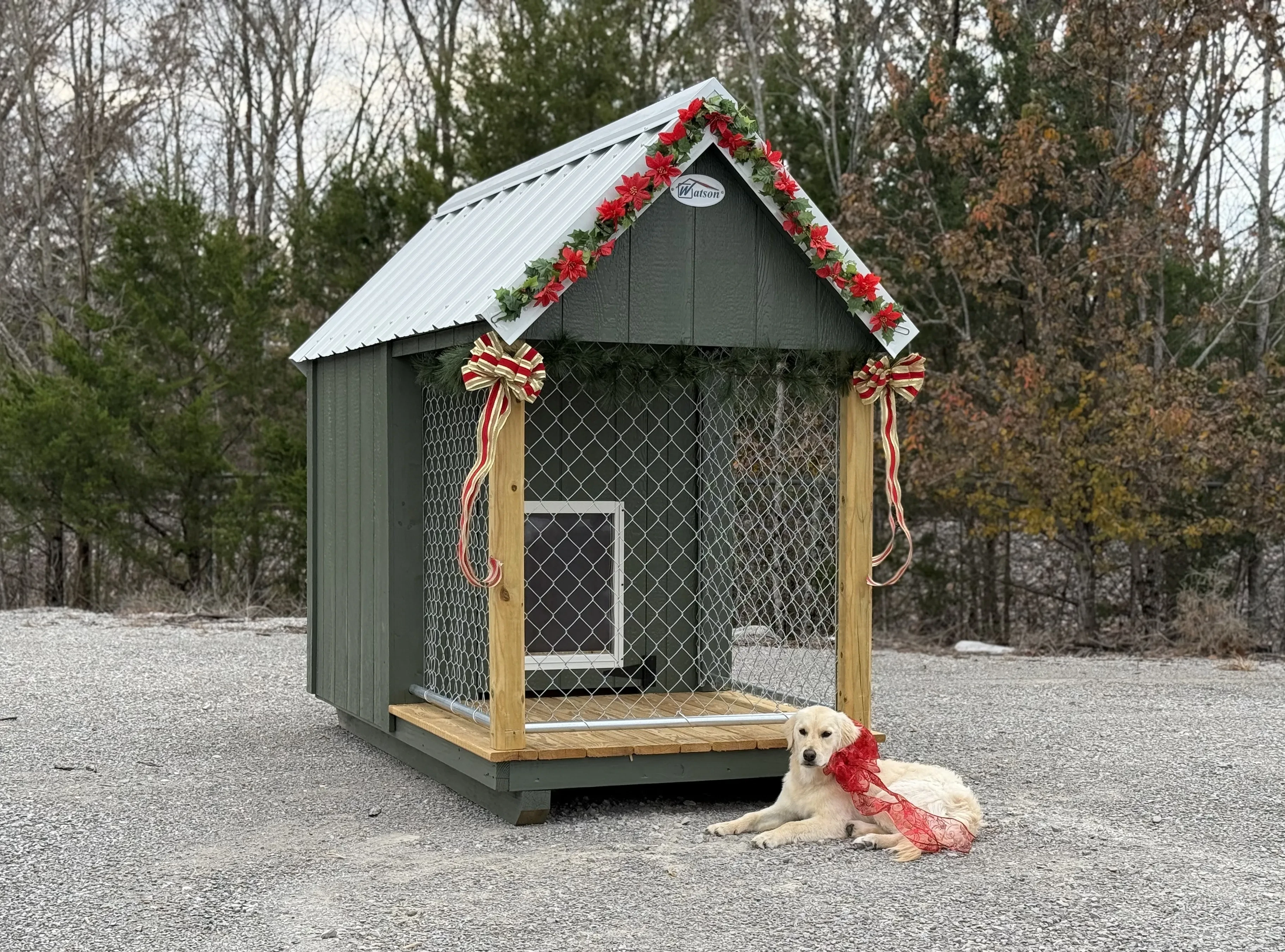 Little dog laying outside a kennel