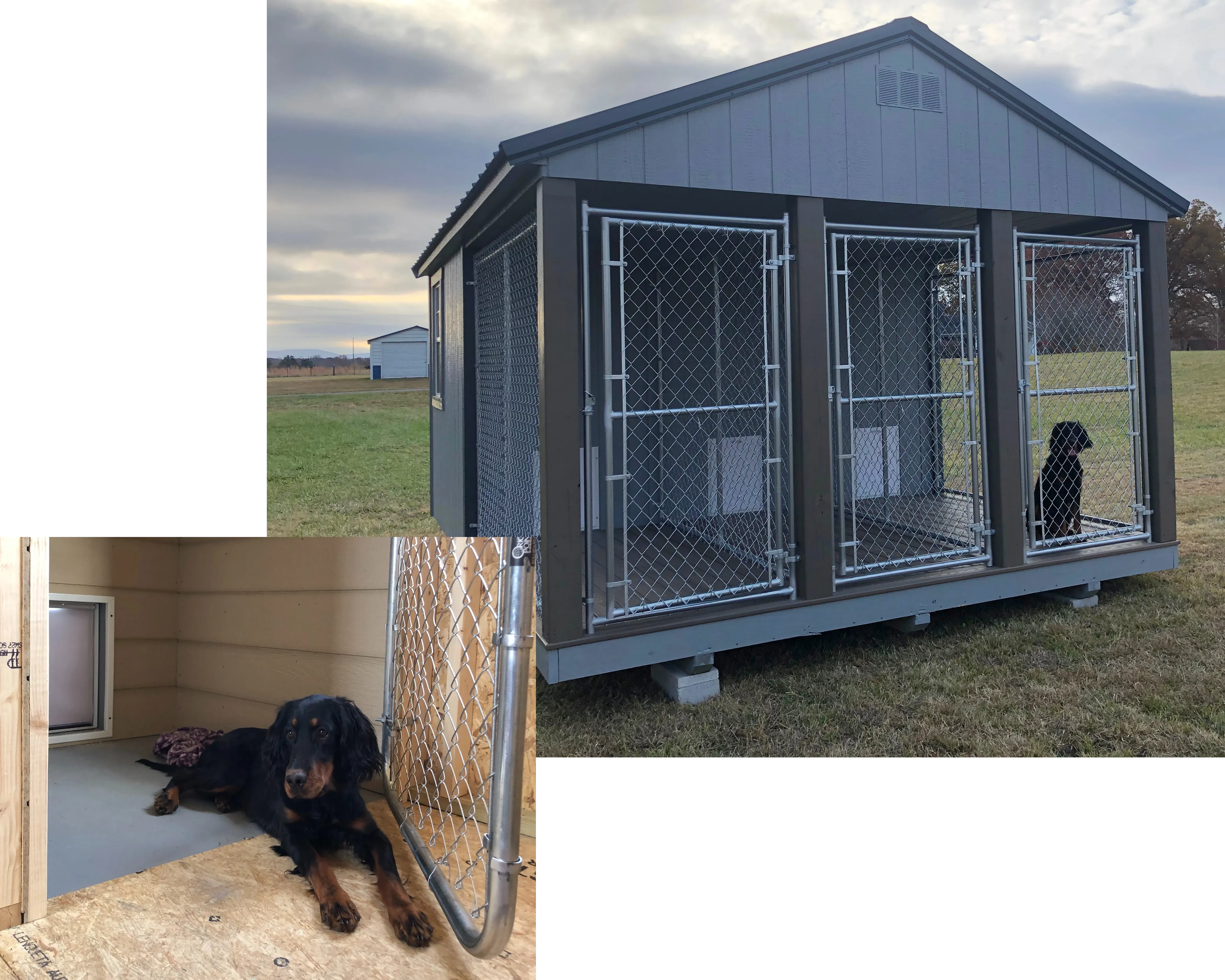 3 Run Dog Kennel with popout of interior pen pictured with a black dog