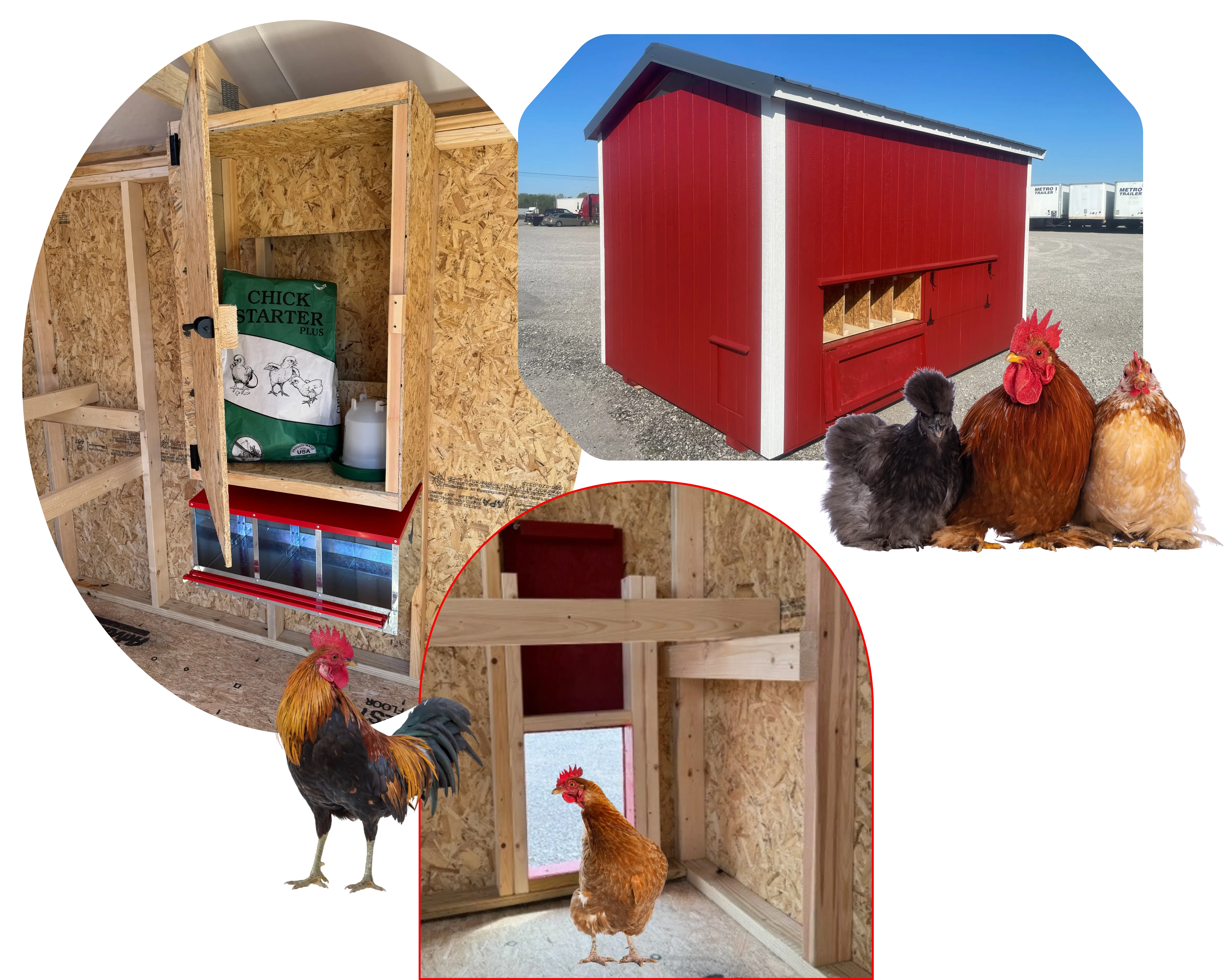 Collage of interior features of chicken coops