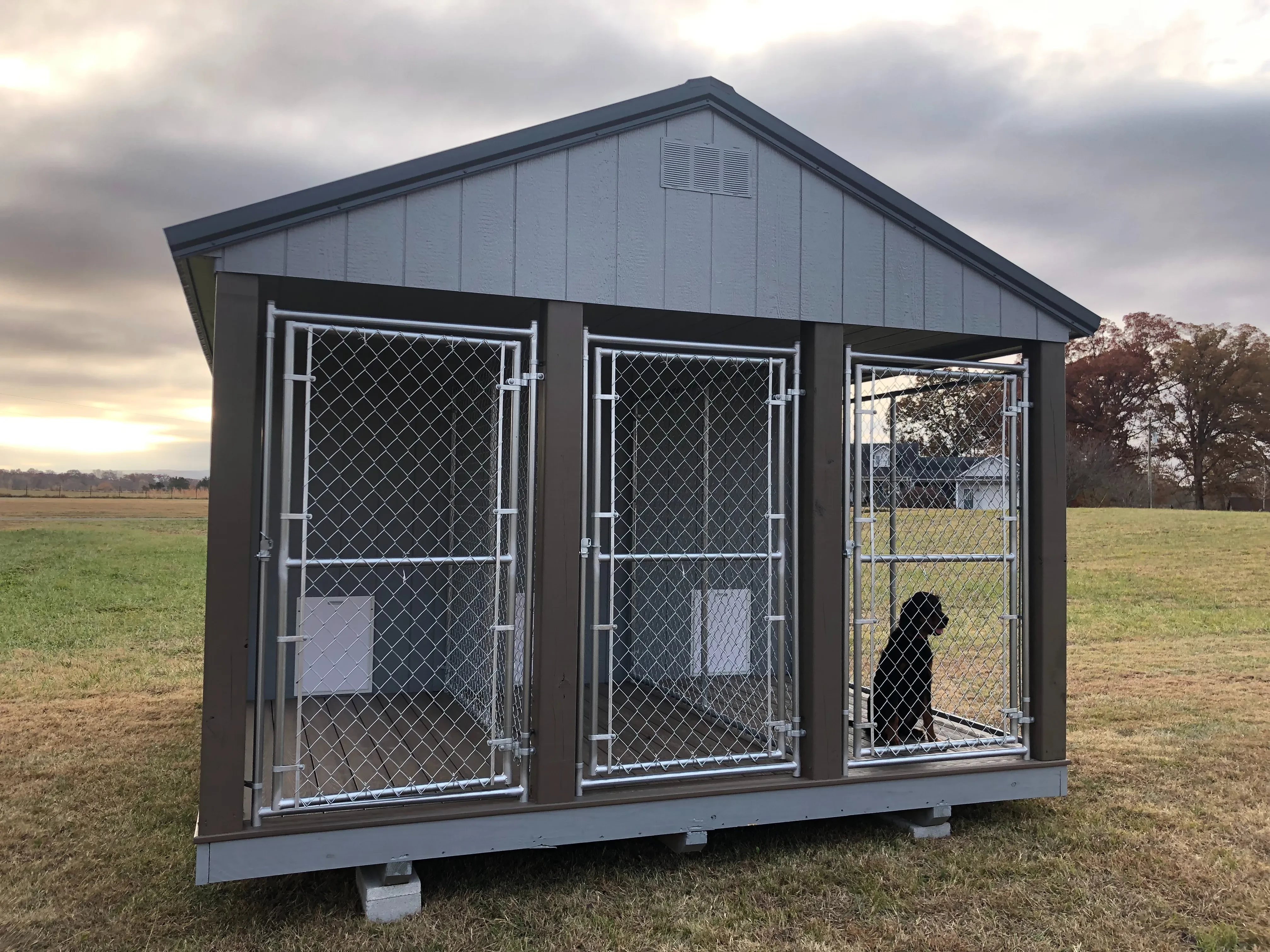 3 Run Dog Kennel with a black dog