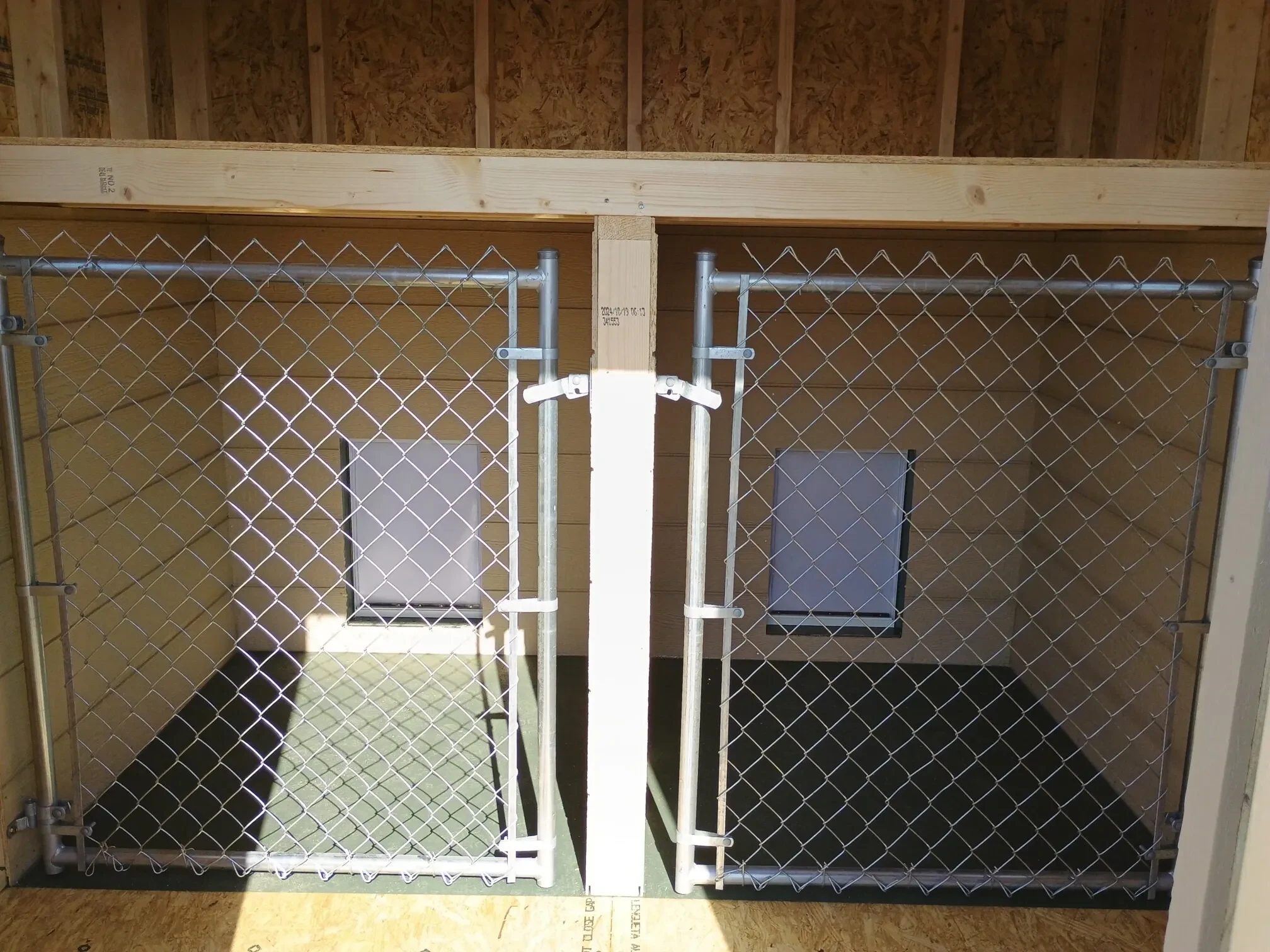 inside a dog kennel with two chain link gates for the dogs to enter