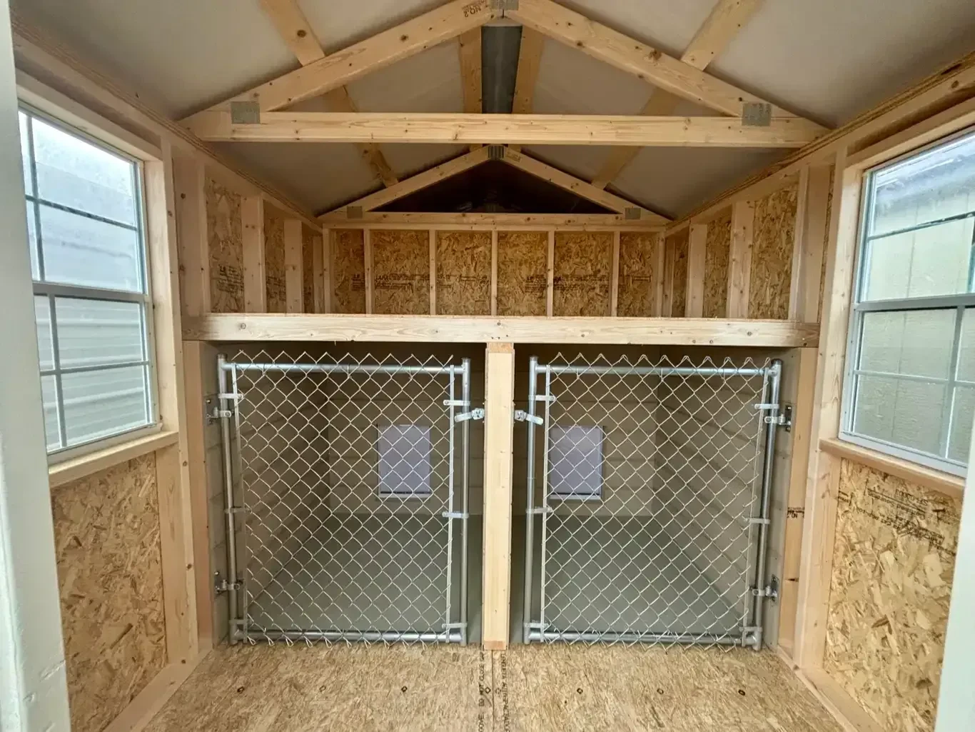 inside a wood dog kennel that has two chain-link gates for the two dog bays