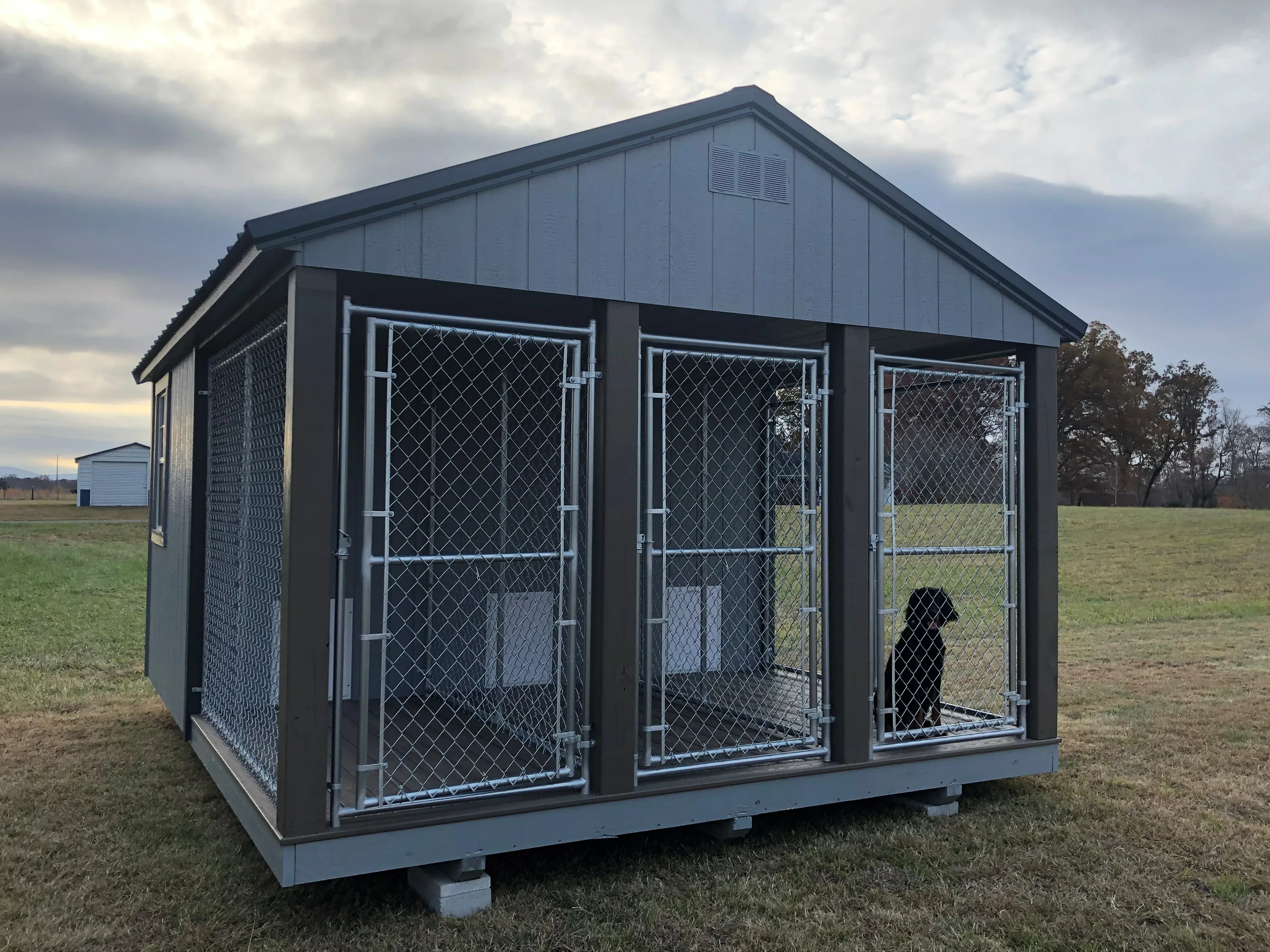 a dog kennel shed with three separate dog kennels, each with an interior portion and an exterior run